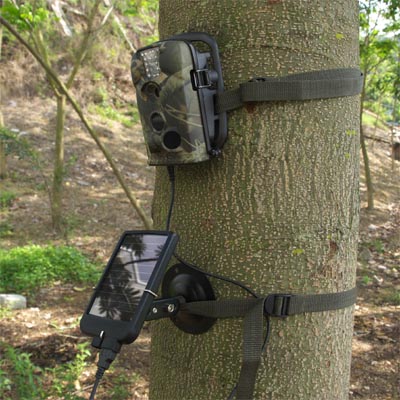 solar cam gsm Graffiti Cam & mini solar panel tree mounted